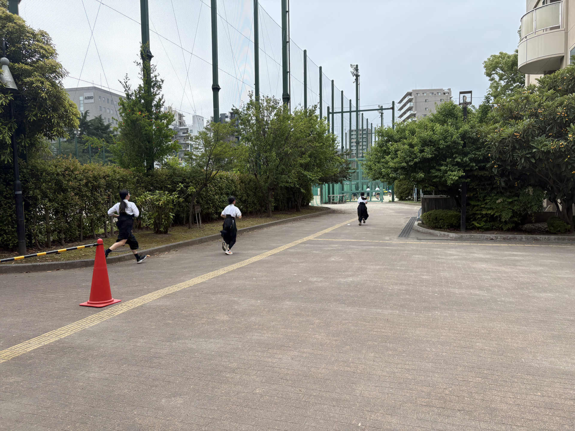 画像 -20260528-051429-a21c744e